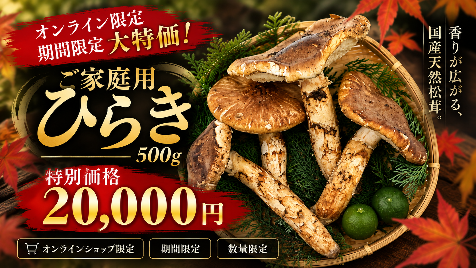 取扱量日本一 国内産松茸専門問屋